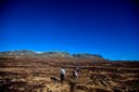 Hiking Haugastøl