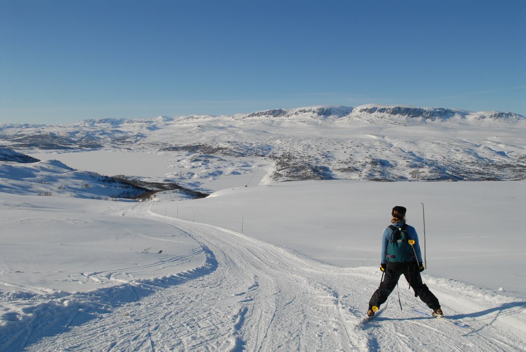 Cross country Haugastøl