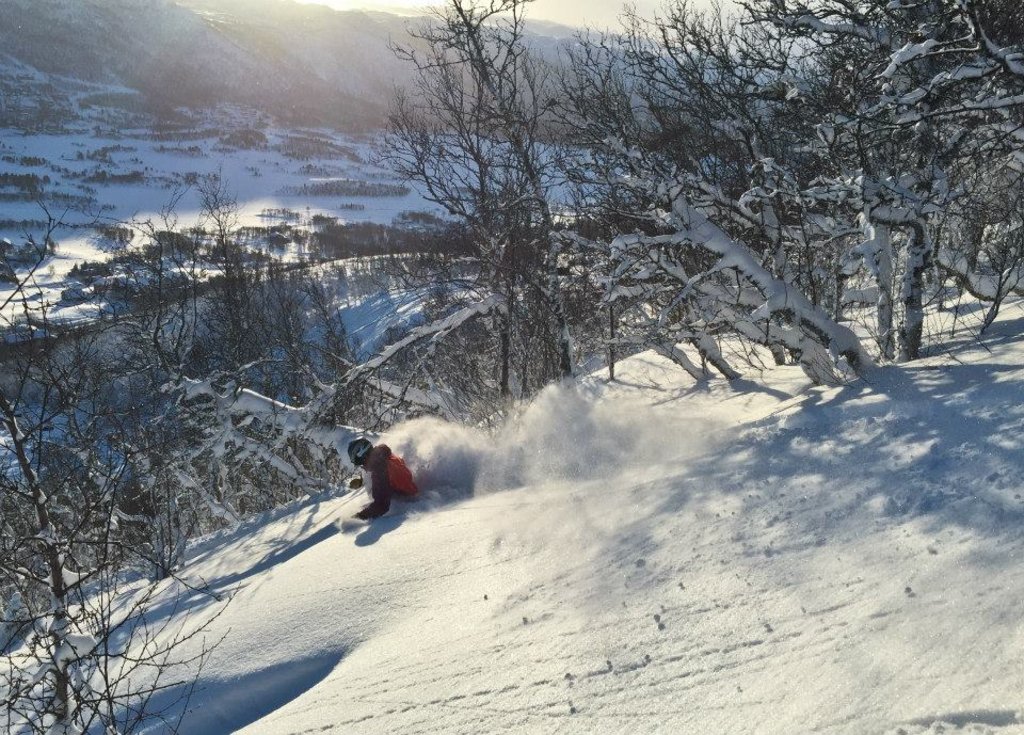 Freeride skiing Haugastøl